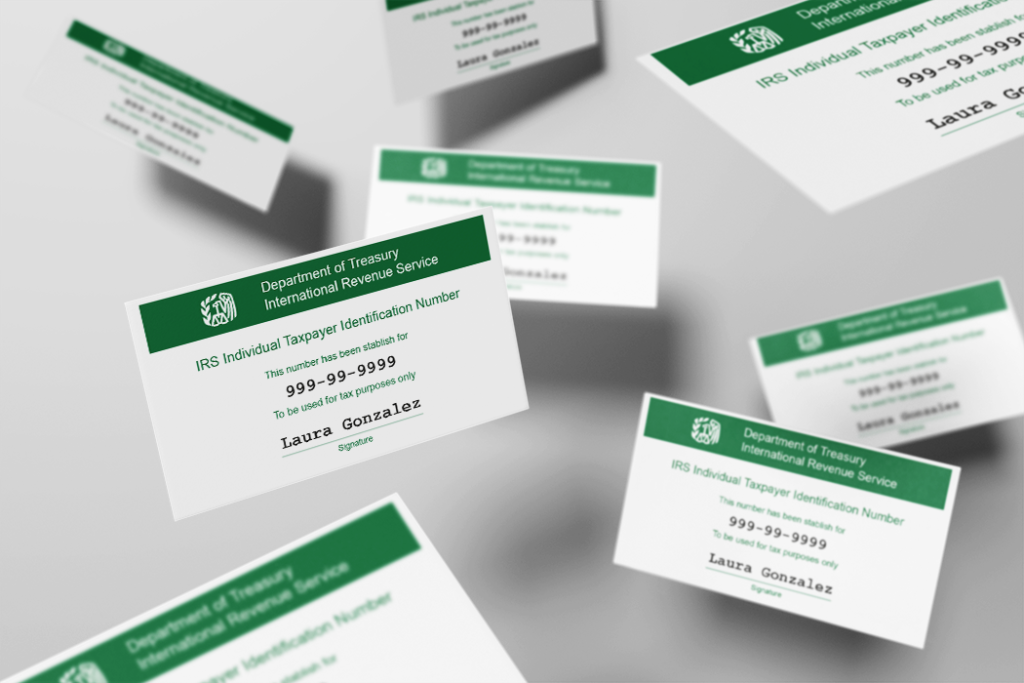 Imagen identificación fiscal HDS BIZ